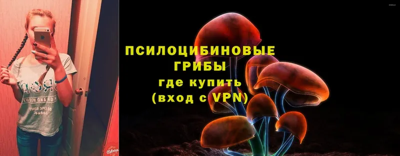 Псилоцибиновые грибы ЛСД  МЕГА вход  даркнет как зайти  Муравленко 